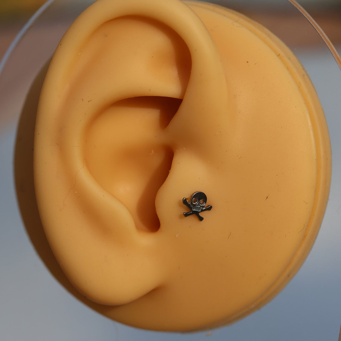 16G ASTM F136 Titanium Labret Pirate