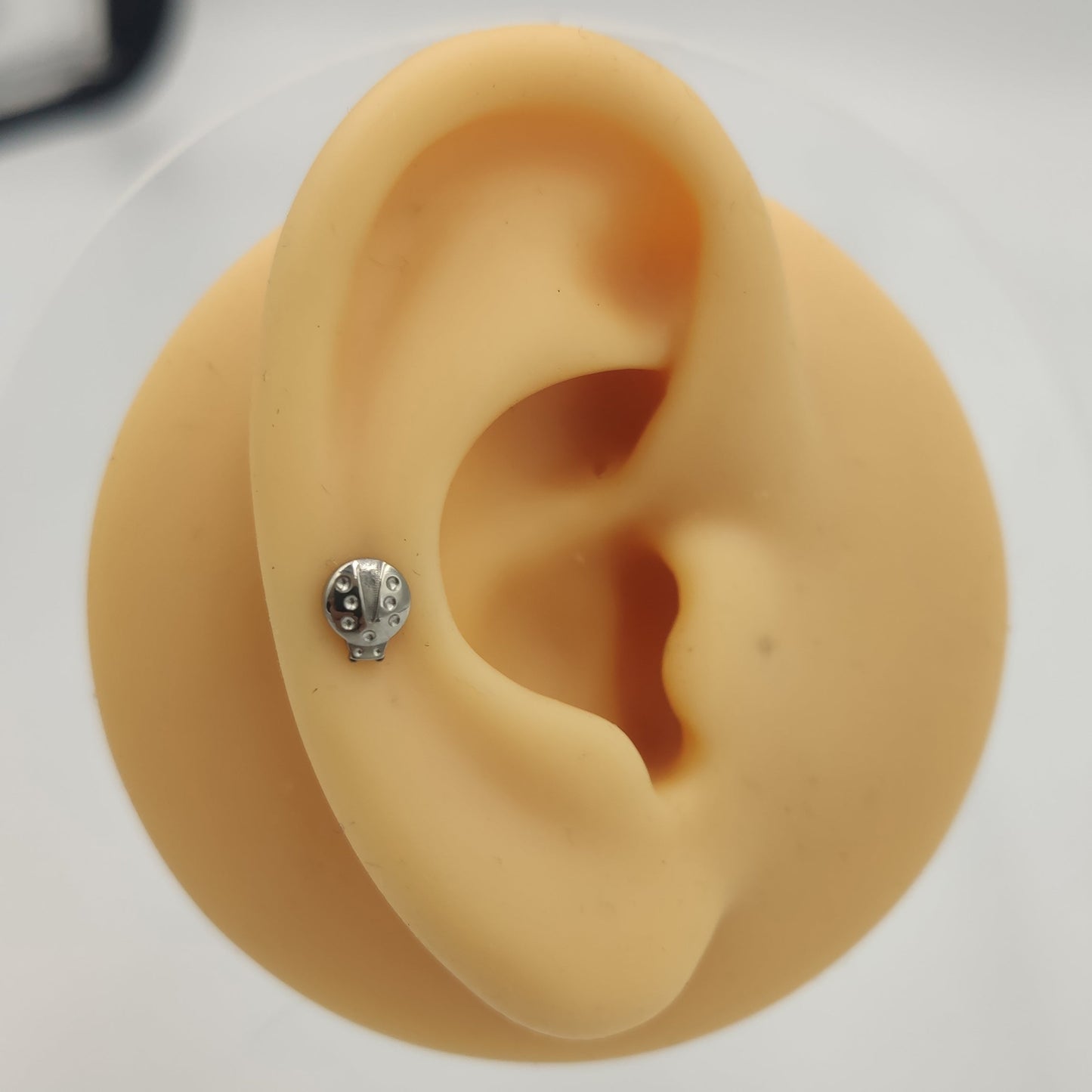 16G ASTM F136 Titanium Labret with Insect Post