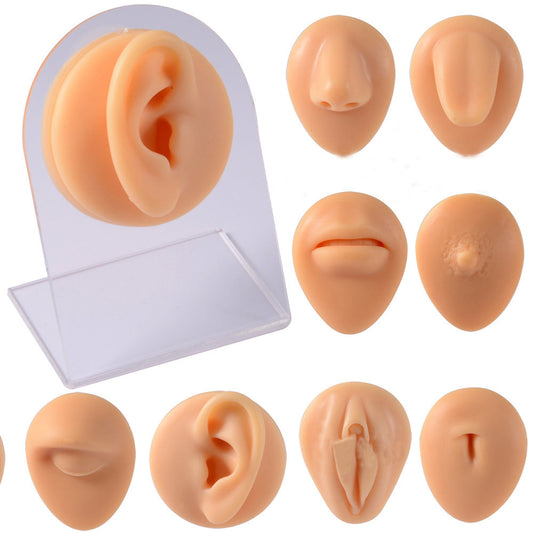 Acrylic Silicone Ear Mouse Tongue Nose Navel Jewelry Display