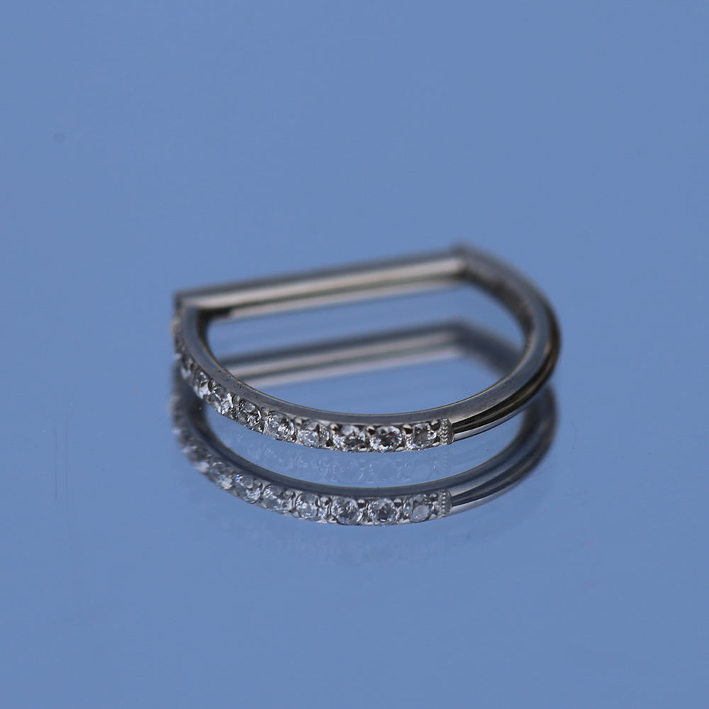 16G ASTM F136 Titanium Hinged Segment Ring Clicker D Ring