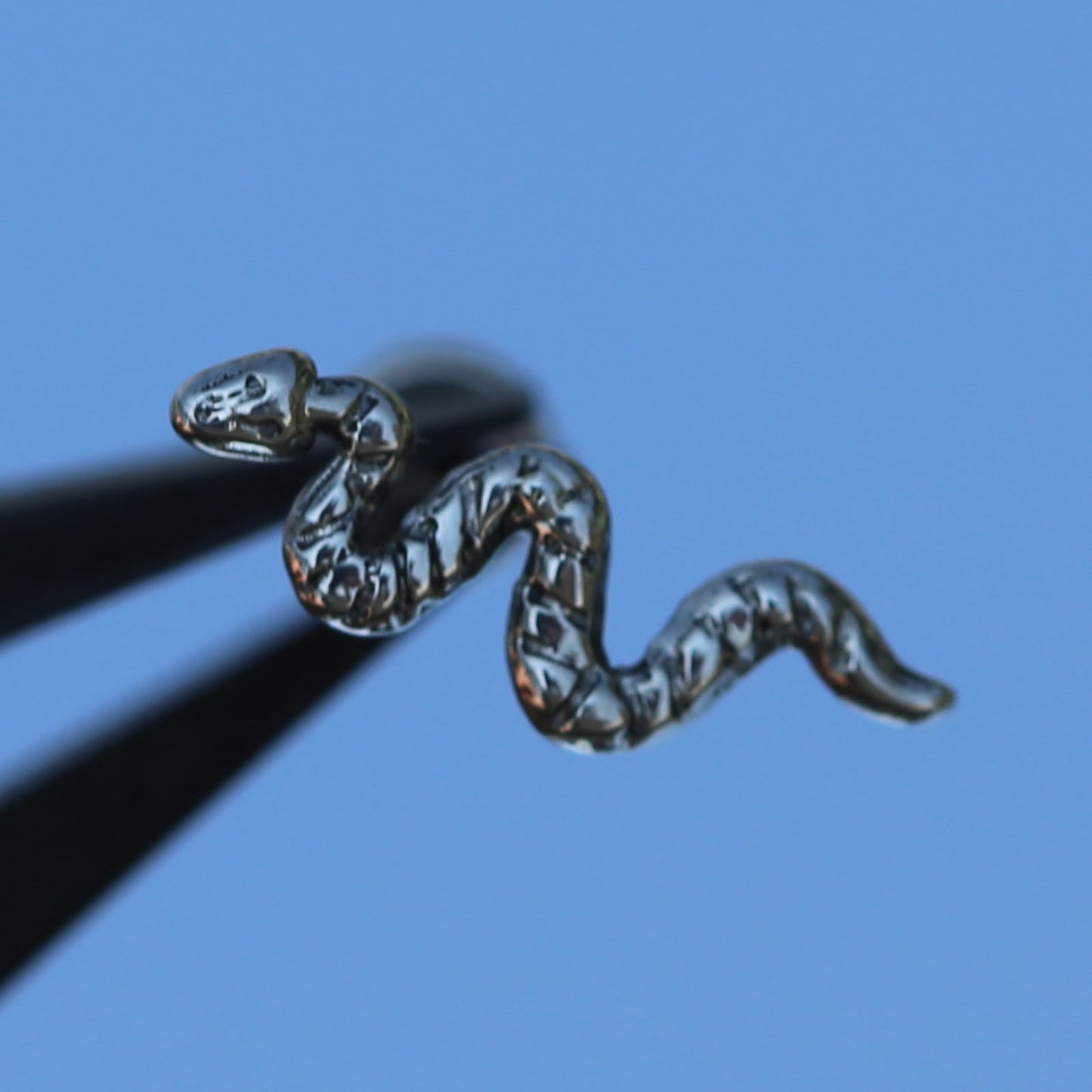 16G ASTM F136 Titanium Snake Labret Stud
